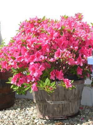 DSCN0612.jpg