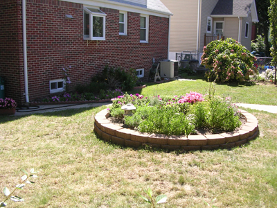 DSCN2218.jpg