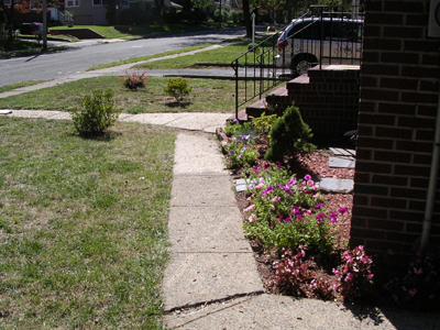 DSCN2220.jpg