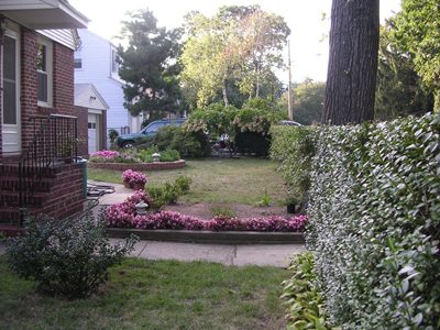 DSCN2223.jpg