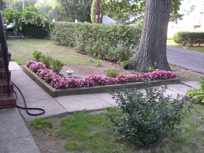 DSCN2229.jpg