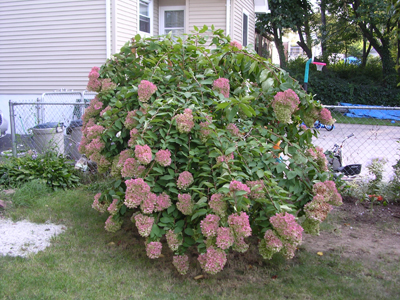 DSCN2230.jpg