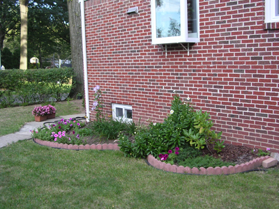 DSCN2231.jpg