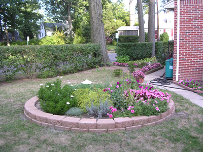 DSCN2232.jpg