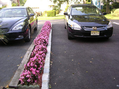 DSCN2234.jpg