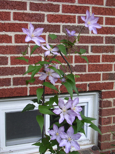 DSCN2237.jpg