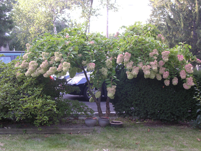 DSCN2238.jpg
