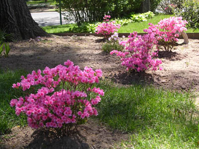 DSCN2658.jpg