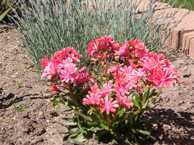DSCN2660.jpg