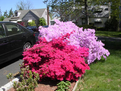DSCN2662.jpg