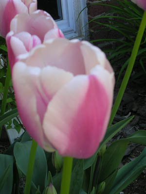 DSCN2664.jpg