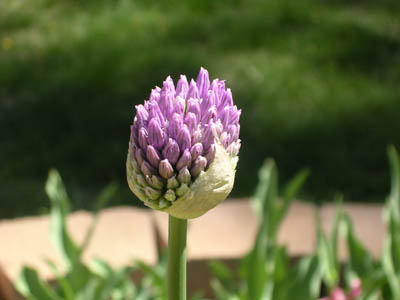 DSCN2666.jpg