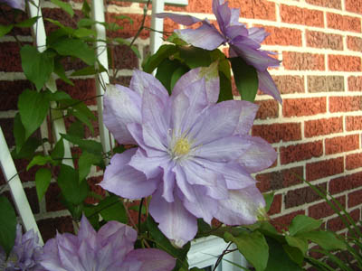 DSCN2696.jpg