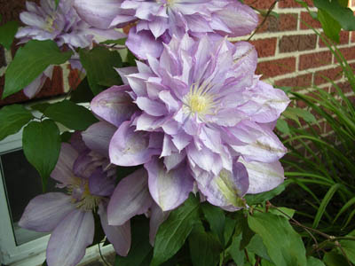 DSCN2697.jpg
