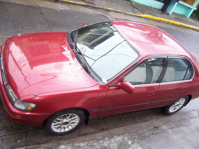 TAZ 444 001_resize.jpg